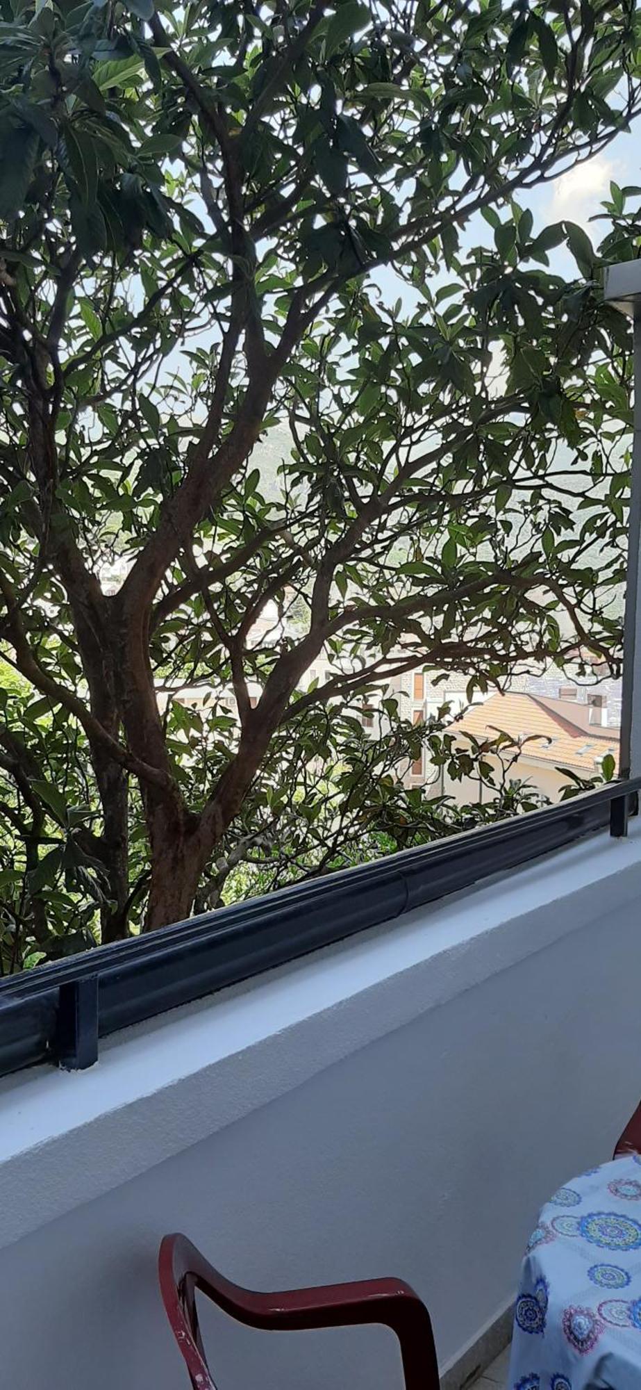 Iskra Apartman Budva Kültér fotó